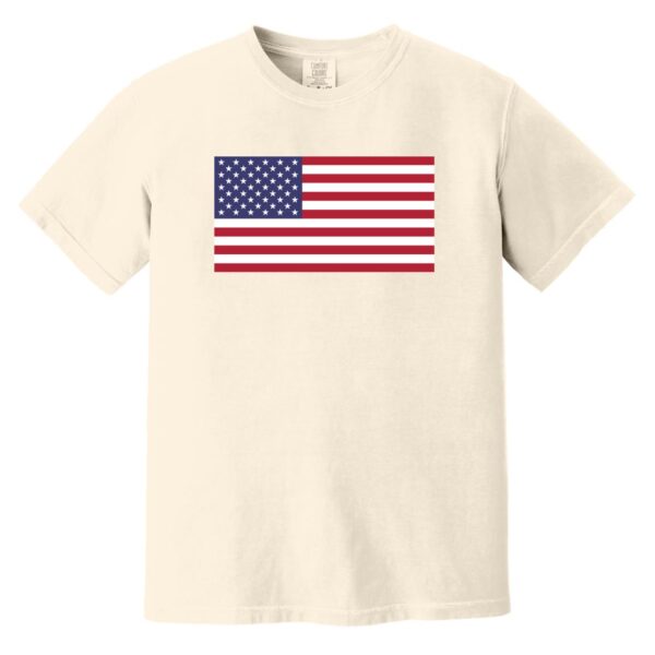 American Garment-Dyed T-Shirt - Image 5